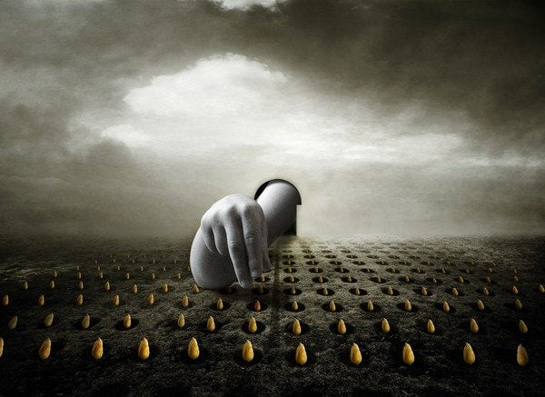 Detail of Tulip thief, 2013 by Johan Lilja