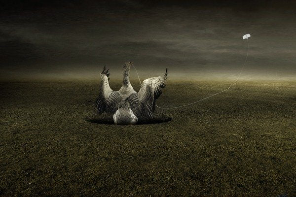 Detail of Help on the way, 2013 by Johan Lilja