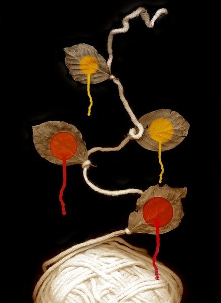 Detail of Yarn bloom, 2013 by Johan Lilja