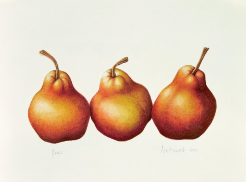 Detail of Pears, 2000 by Annabel Barrett