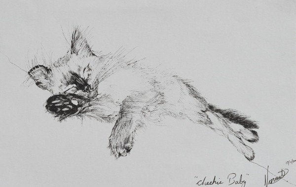 Detail of Kitty 'Baby', 2002 by Vincent Alexander Booth