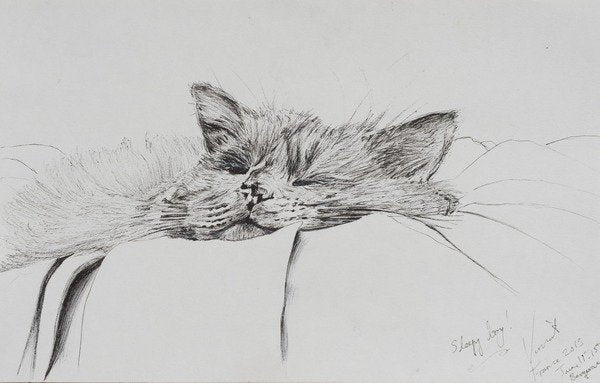 Detail of Monty sleepy boy, 2013 by Vincent Alexander Booth