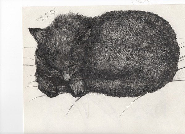 Detail of Diddy big face, 1997 by Vincent Alexander Booth