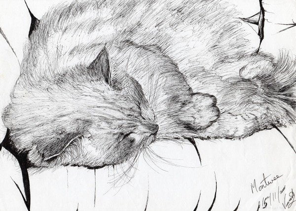 Detail of Montwee, 2000 by Vincent Alexander Booth