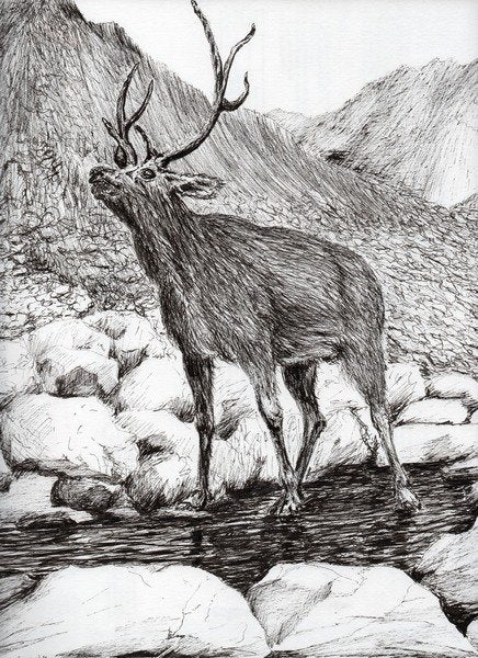 Detail of Stag, 2011 by Vincent Alexander Booth