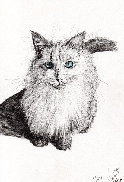 Detail of Monty, 2009 by Vincent Alexander Booth