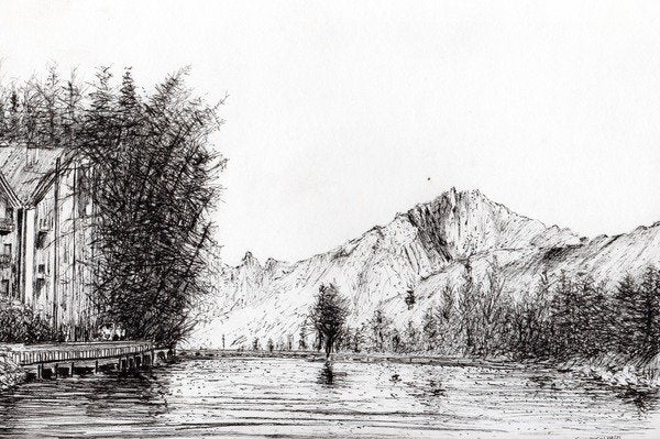 Detail of Crans Switzerland, 2009 by Vincent Alexander Booth