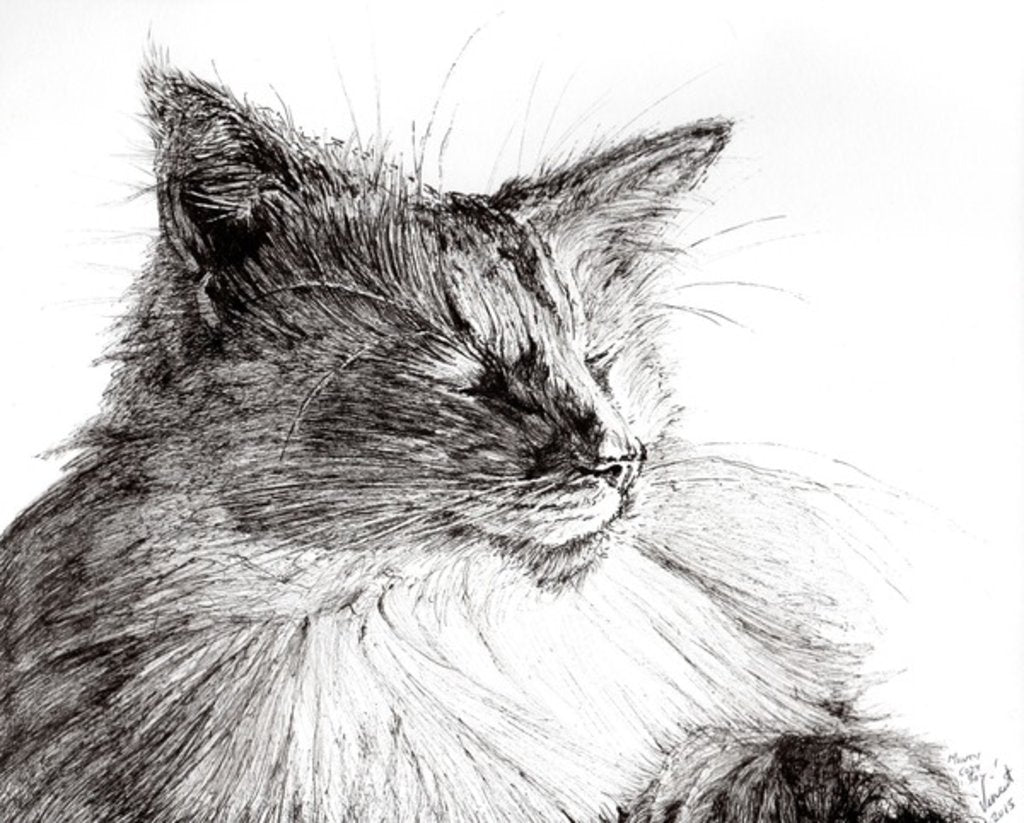 Detail of Monty cosy boy, 2015 by Vincent Alexander Booth