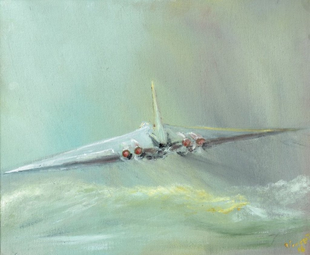Detail of Vulcan B1 sortie, 2016 by Vincent Alexander Booth