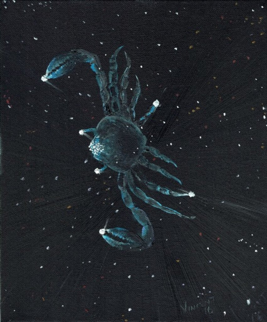 Detail of Star sign Cancer, 2016 by Vincent Alexander Booth