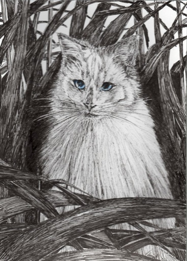 Detail of Jungle Monty, 2015 by Vincent Alexander Booth