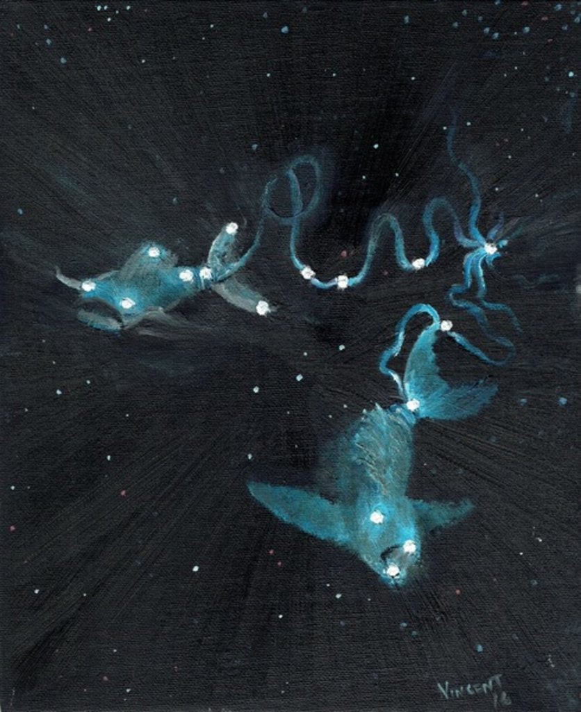 Detail of Star sign Pisces, 2016 by Vincent Alexander Booth