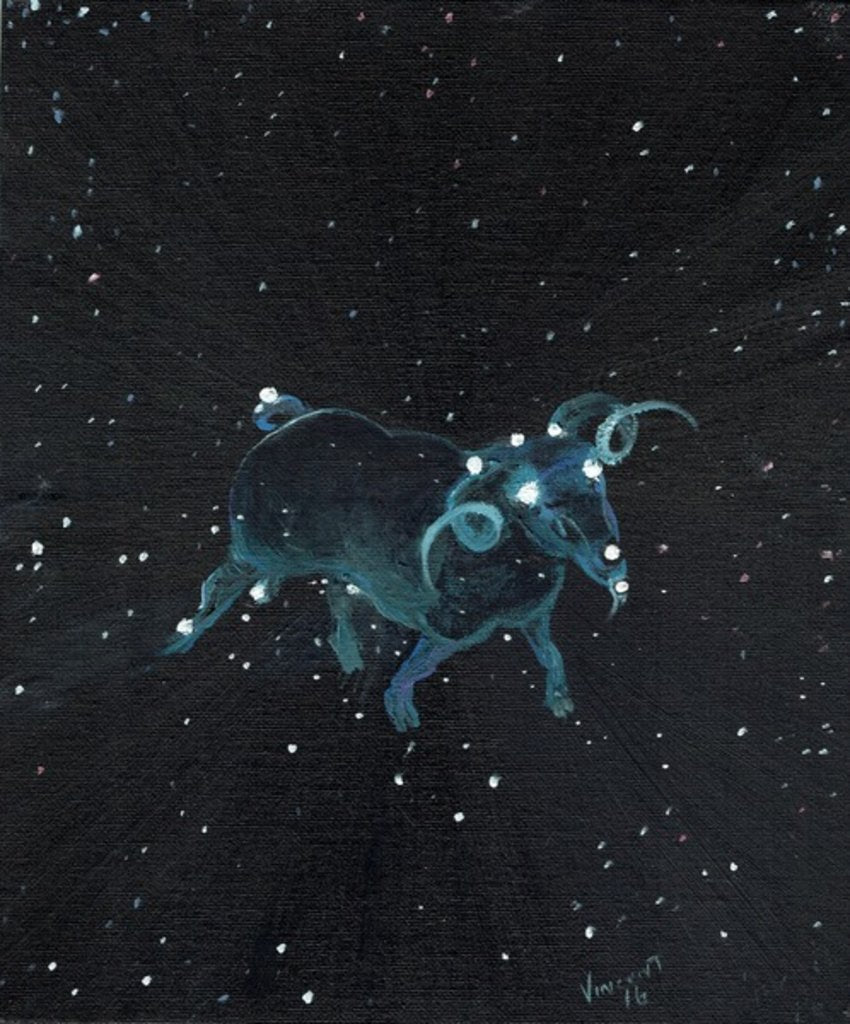 Detail of Star sign Aires, 2016 by Vincent Alexander Booth