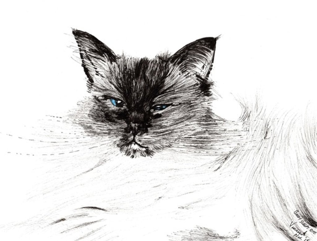 Detail of Sleepy eye, 2015 by Vincent Alexander Booth