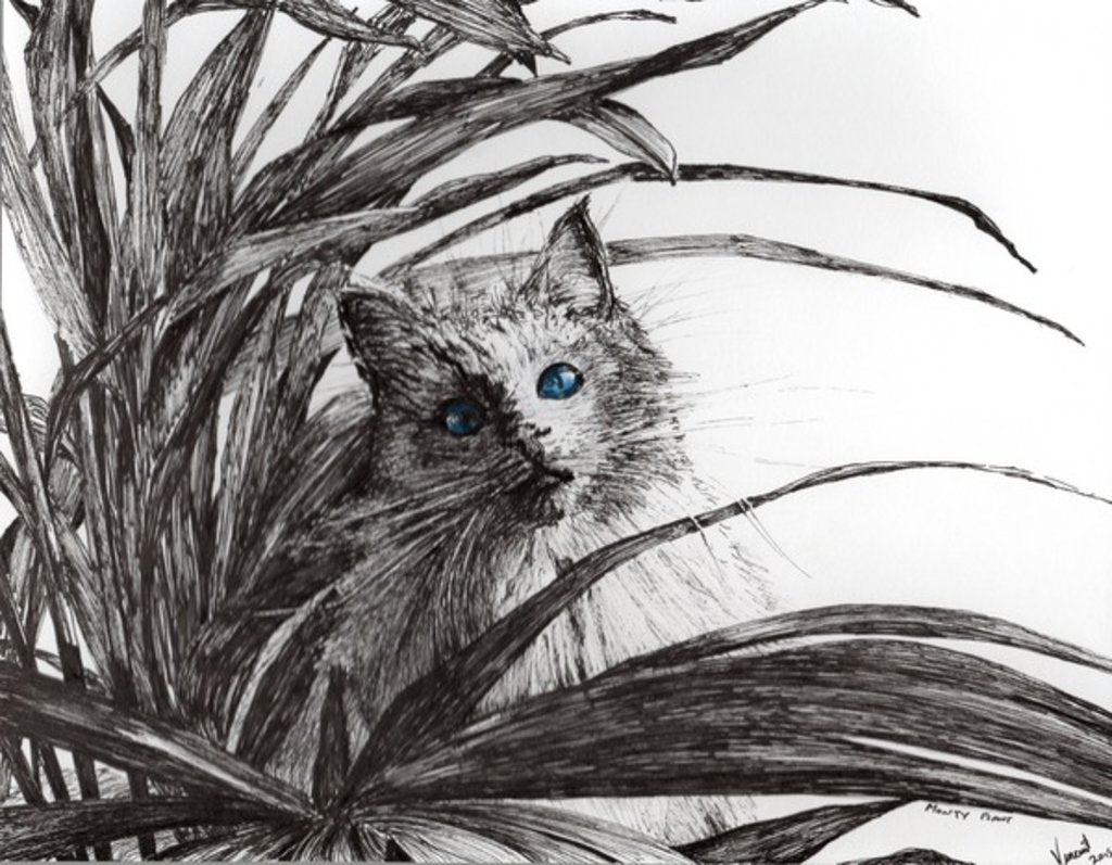 Detail of Monty plant, 2015 by Vincent Alexander Booth