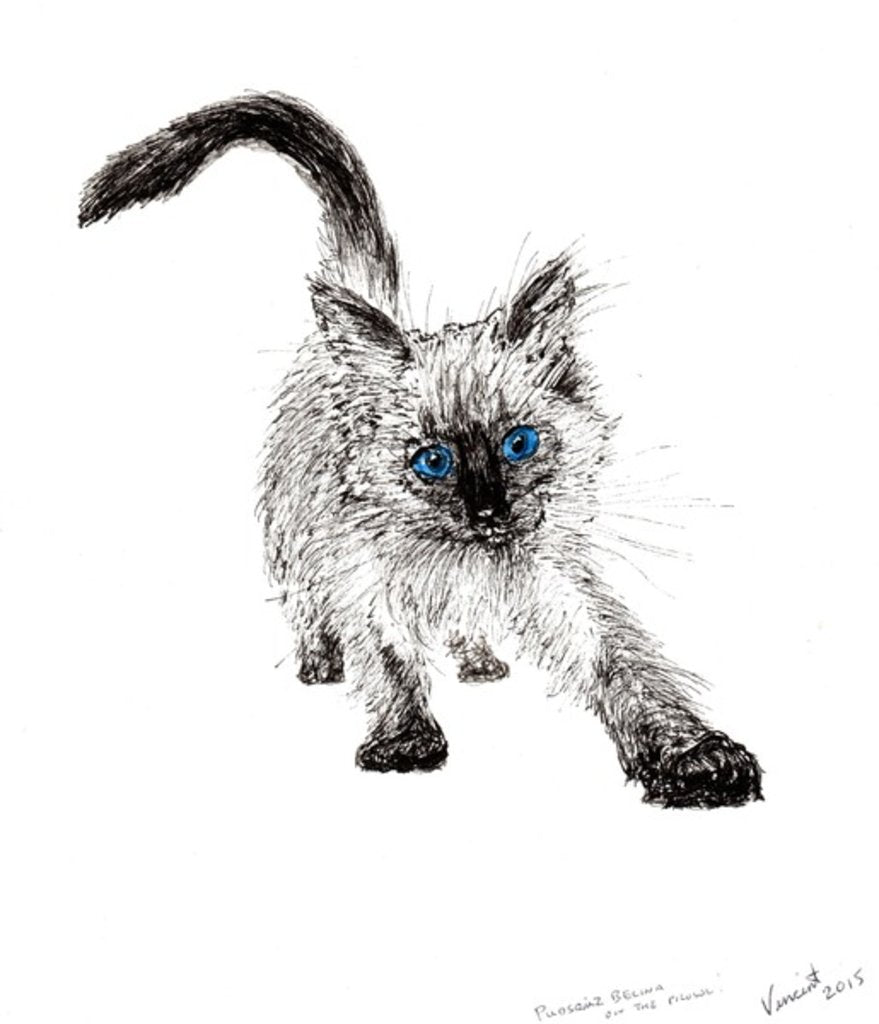 Detail of On the prowl !, 2015 by Vincent Alexander Booth