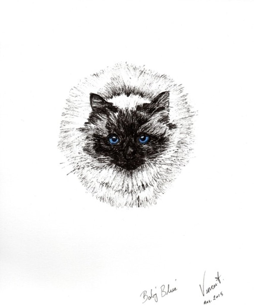 Detail of Baby ball, 2015 by Vincent Alexander Booth