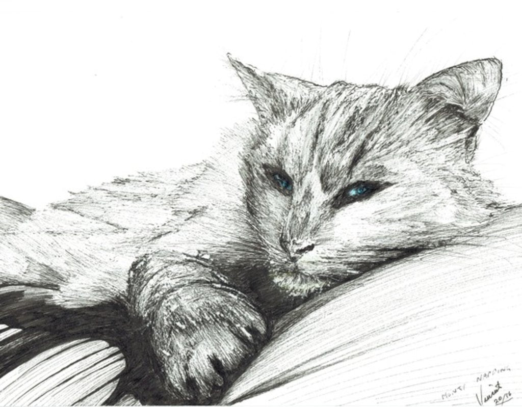Detail of Monty napping, 2016 by Vincent Alexander Booth