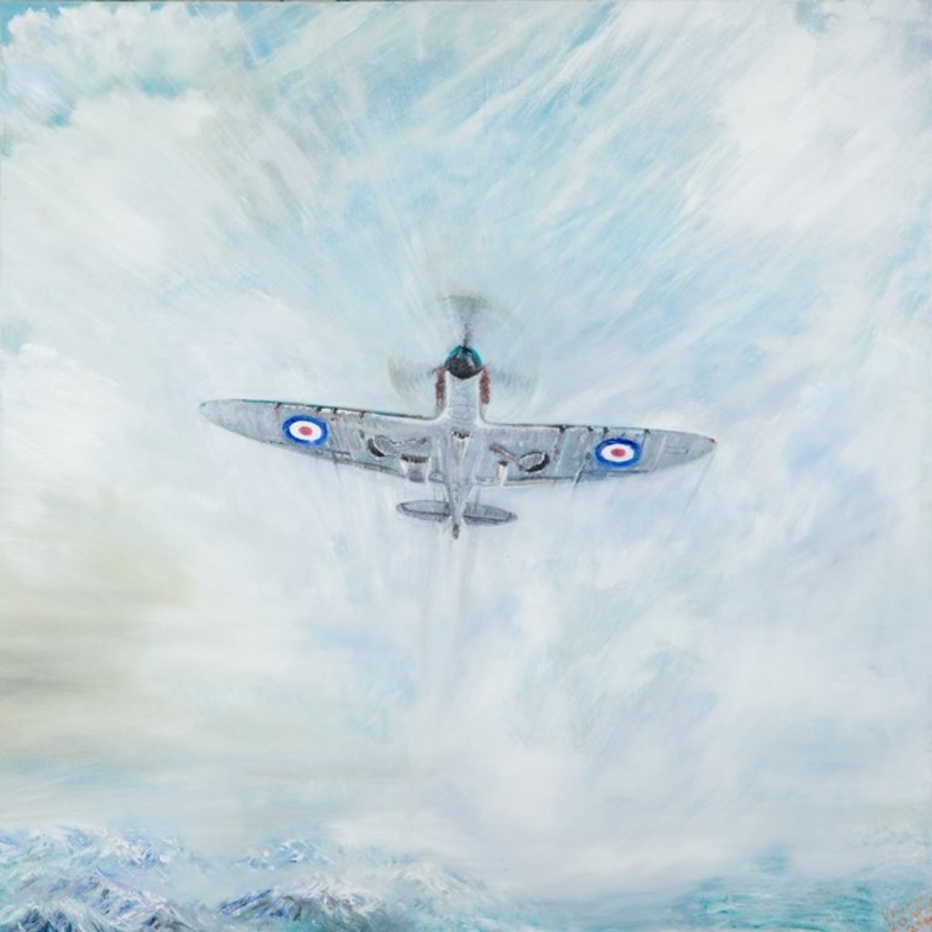 Detail of Spitfire 'Ace of Spades', 2016 by Vincent Alexander Booth