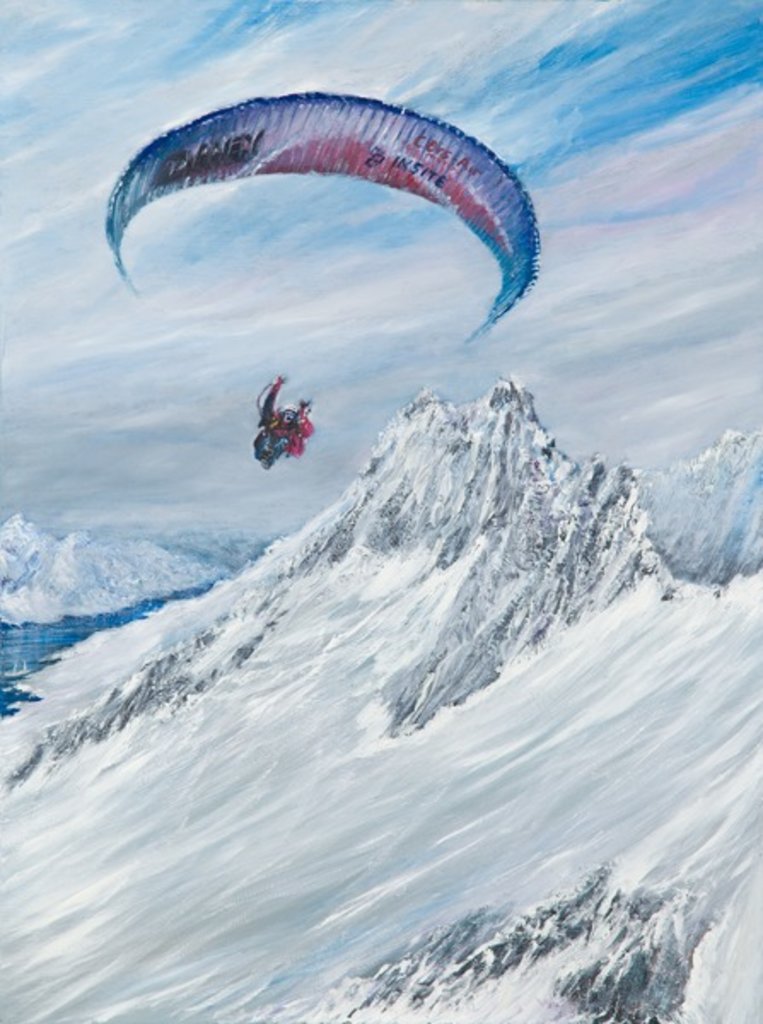Detail of Antarctic Flier, 2015 by Vincent Alexander Booth