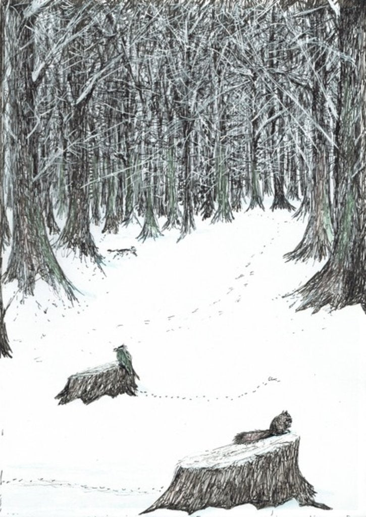 Detail of The Castle in the Forest of Findhorn, snow stumps, 2006 by Vincent Alexander Booth