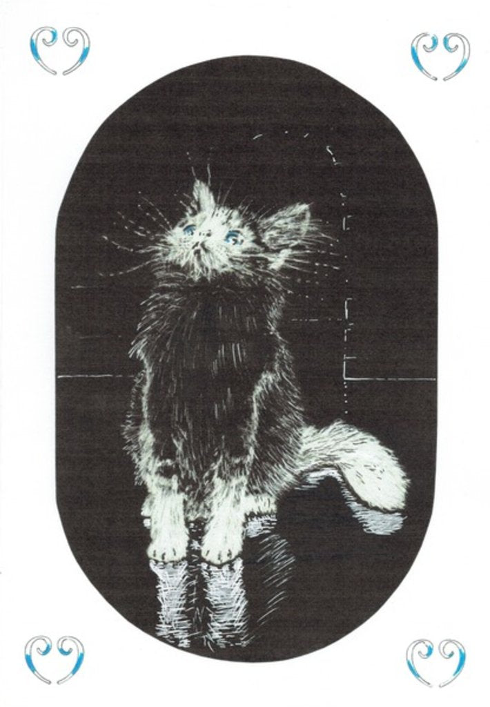 Detail of The Castle in the Forest of Findhorn, baby, 2006 by Vincent Alexander Booth