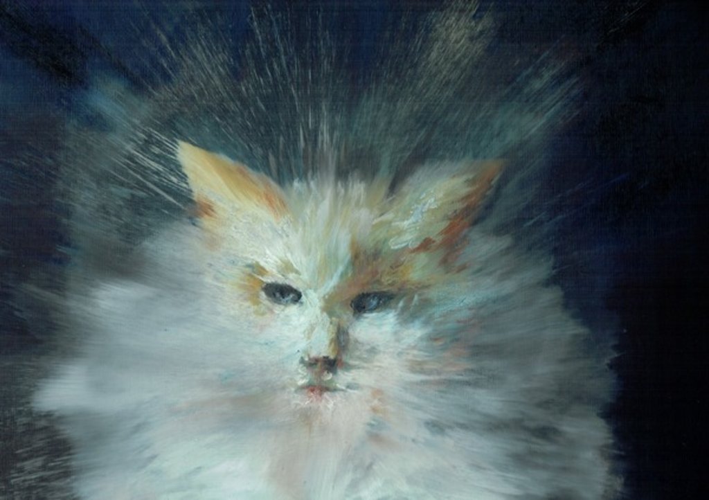 Detail of Monty fluffball, 2015 by Vincent Alexander Booth