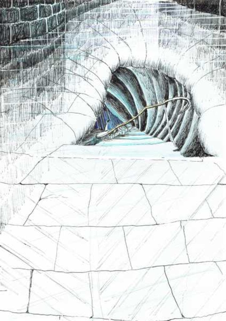 Detail of The Castle in the Forest of Findhorn, cellar steps, 2006 by Vincent Alexander Booth