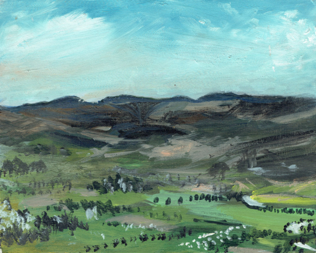Detail of Cairngorms from Creag Dhubh, 2006 by Vincent Alexander Booth
