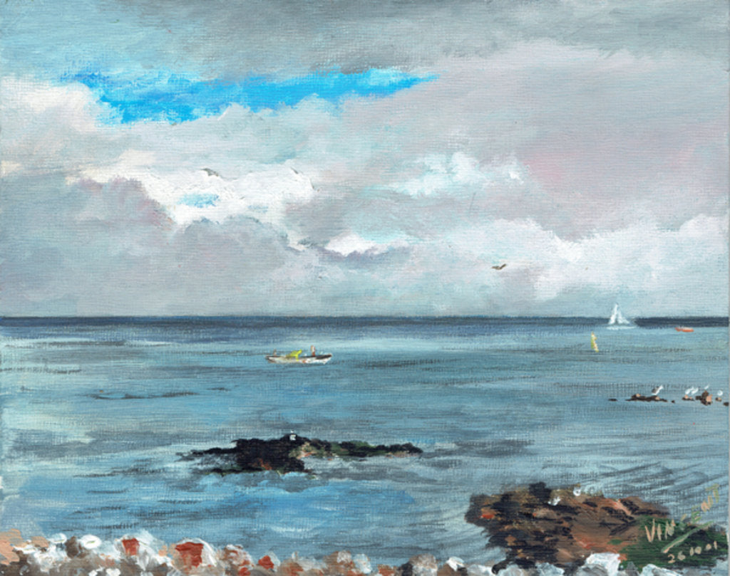 Detail of Howth Ireland, 2001 by Vincent Alexander Booth