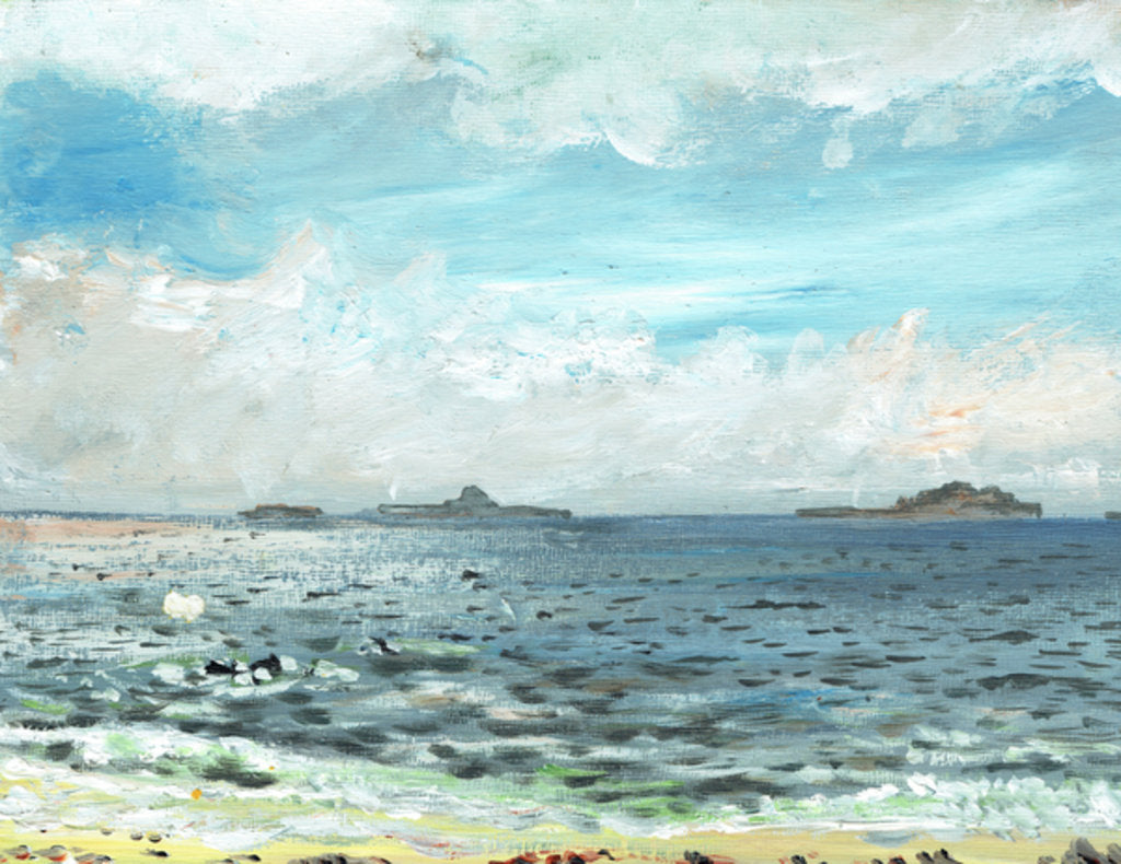 Detail of Iona beach, 2007 by Vincent Alexander Booth