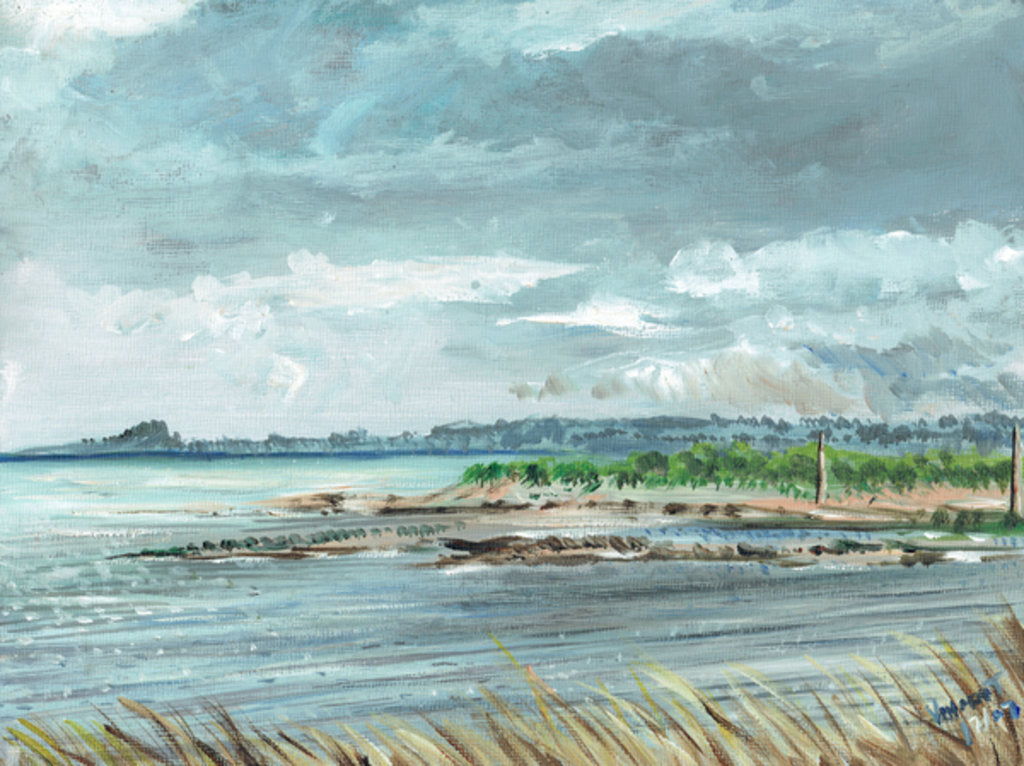 Detail of Iona Scotland, 2007 by Vincent Alexander Booth