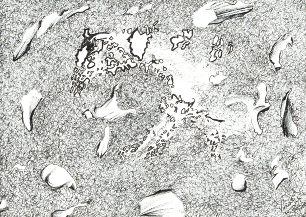 Detail of Horse Apparition, 2017 by Vincent Alexander Booth