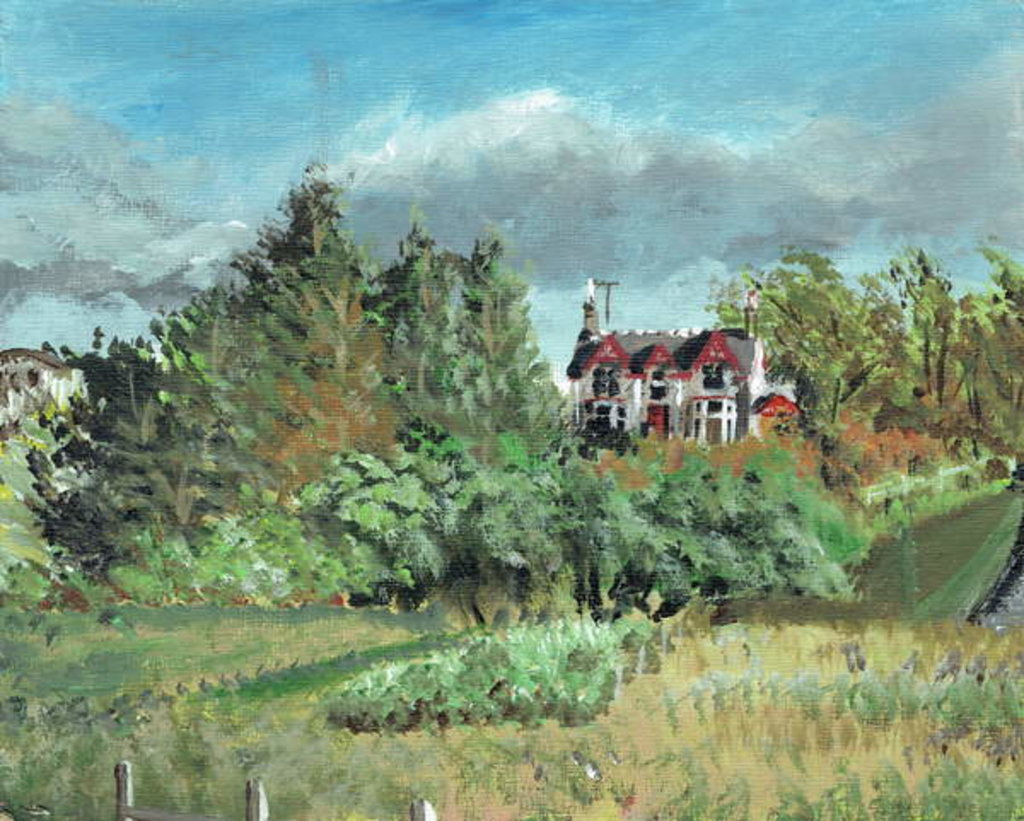 Detail of House in the Highlands, Creag Dhubh, 2006 by Vincent Alexander Booth