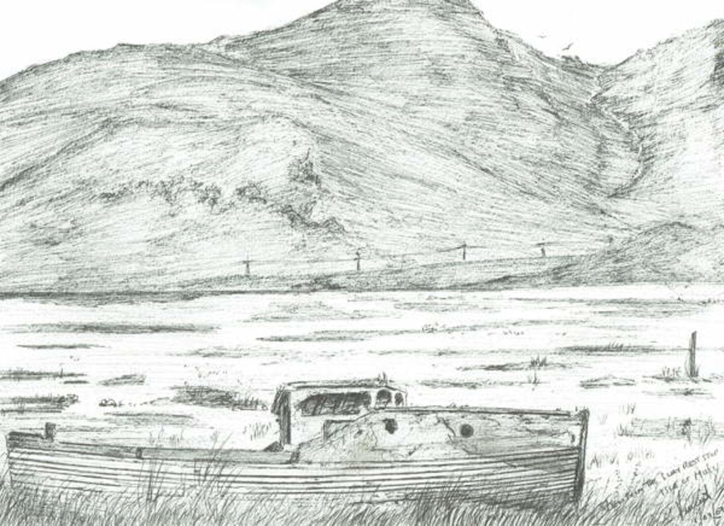 Detail of Boat on dry land, Isle of Mull, 2007 by Vincent Alexander Booth