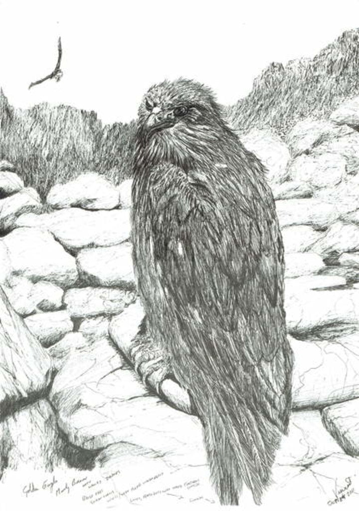 Detail of Eagles of the Highlands, 2011 by Vincent Alexander Booth