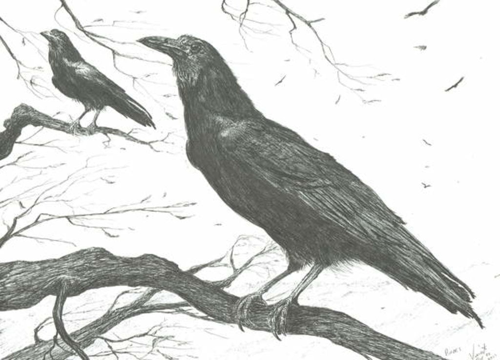 Detail of Observers, 2011 by Vincent Alexander Booth