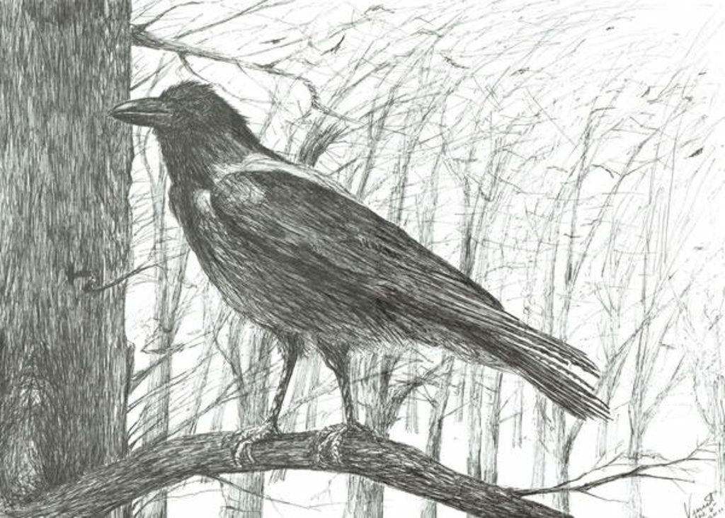 Detail of Bird, 2011 by Vincent Alexander Booth