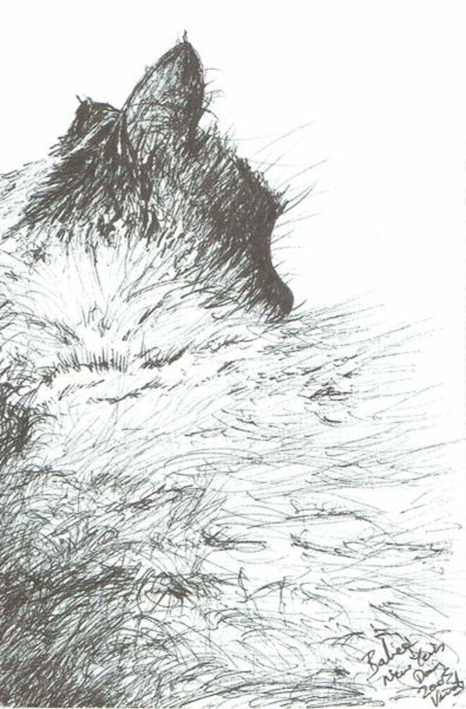 Detail of Baby keeps warm New Year, 2005 by Vincent Alexander Booth