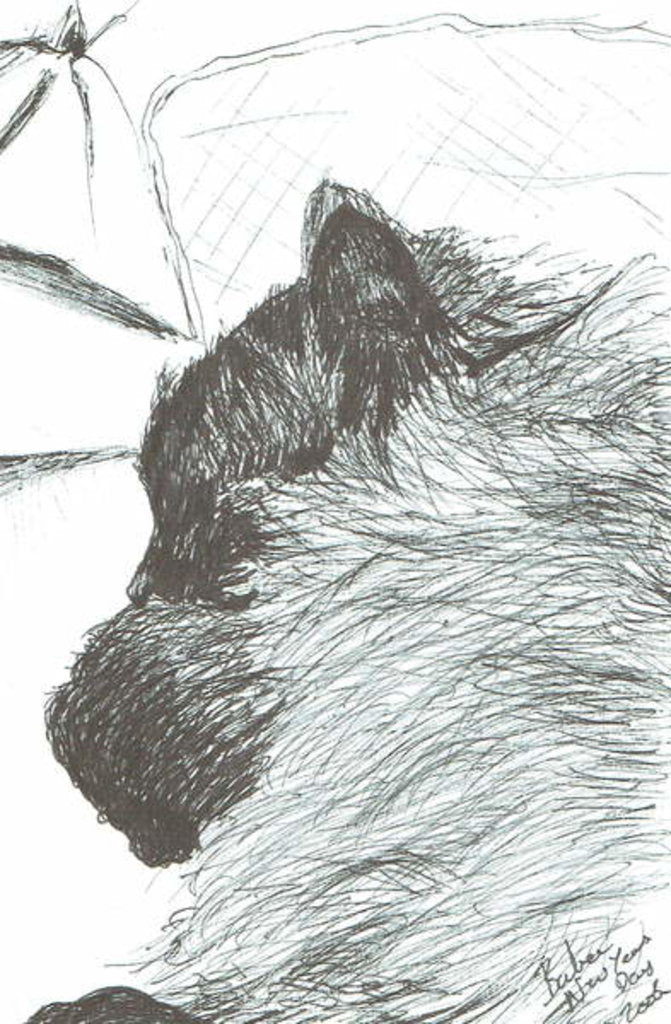 Detail of Baby New Years day, 2005 by Vincent Alexander Booth