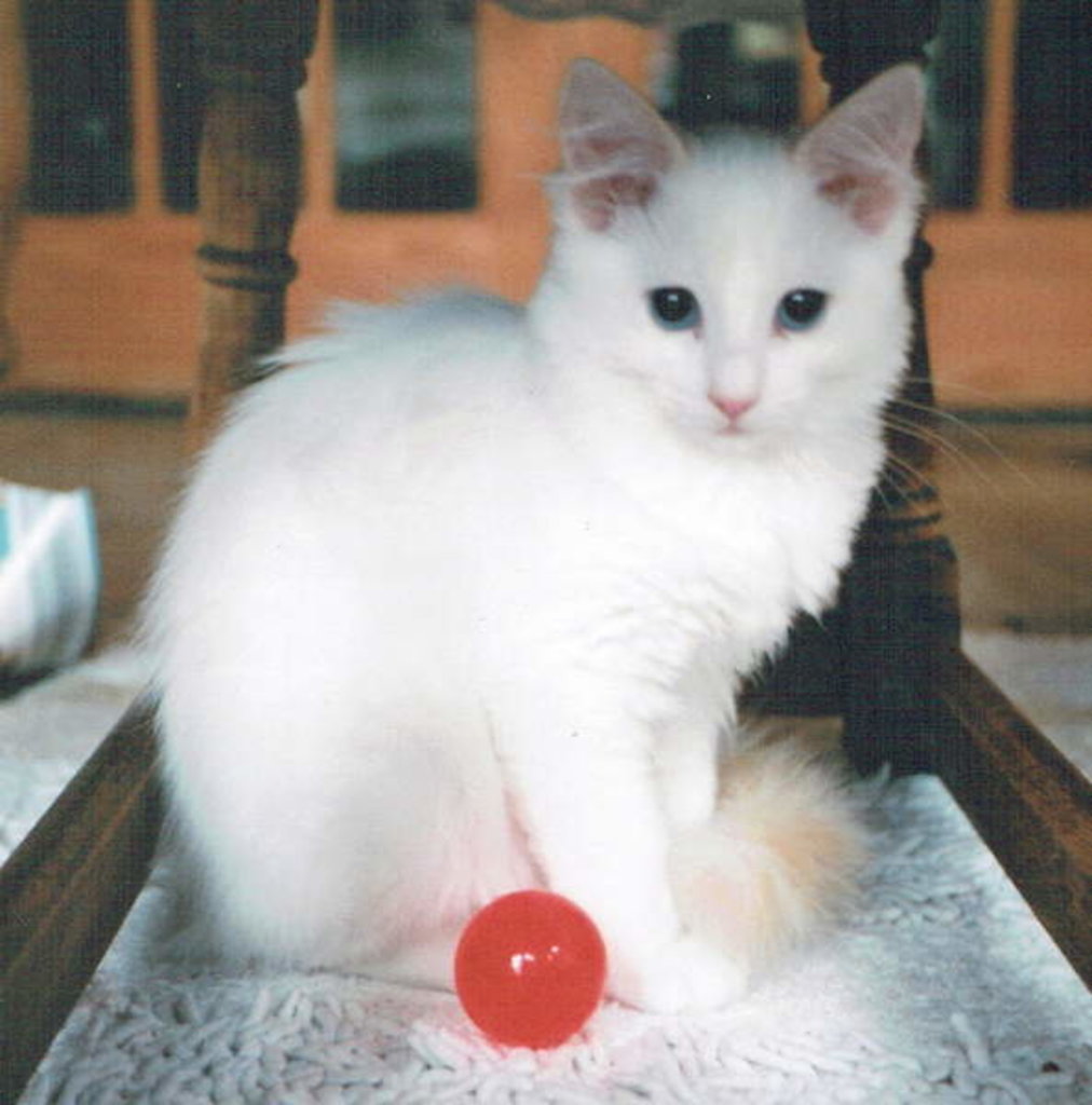 Detail of Red Ball Boy, 2017 by Vincent Alexander Booth
