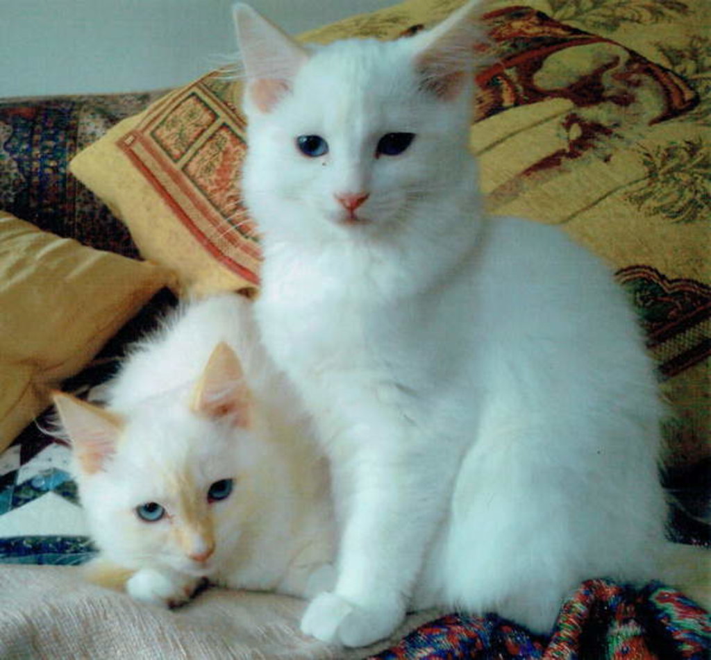 Detail of What is it ?, 2017 by Vincent Alexander Booth