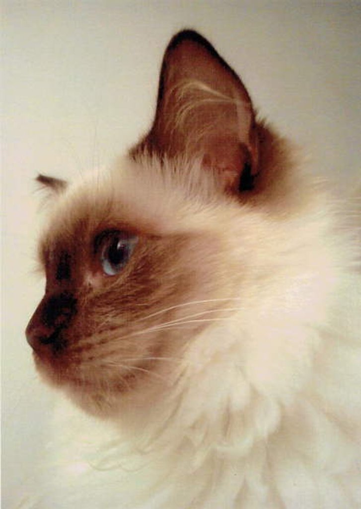 Detail of Girl, 2019 by Vincent Alexander Booth