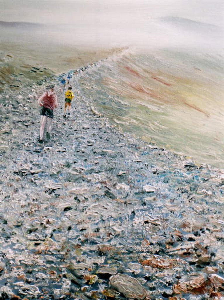 Detail of Run up Snowdon, 2014 by Vincent Alexander Booth