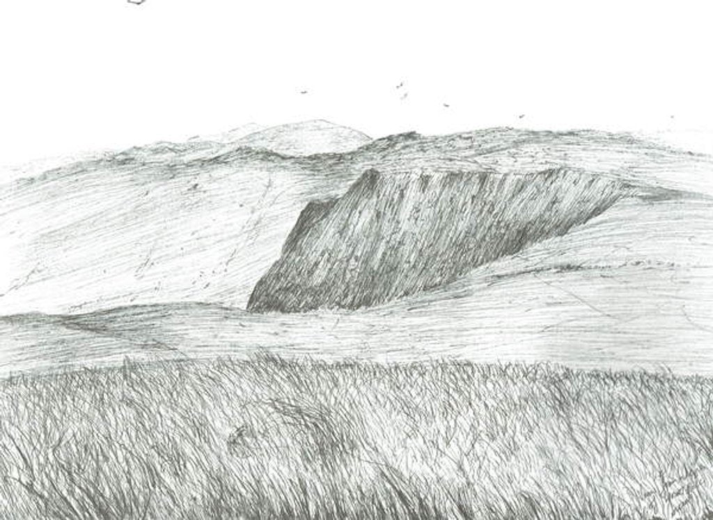 Detail of Slopes of Hartfell, 2003 by Vincent Alexander Booth