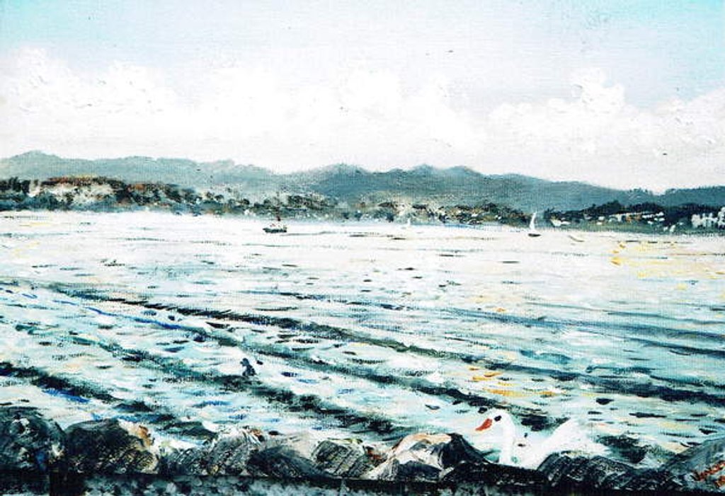 Detail of Swan on lake, 2010 by Vincent Alexander Booth