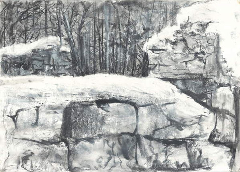 Detail of Wall in the Woods Osmotherley, 1997 by Vincent Alexander Booth