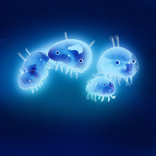 Detail of Jelly fish, 2013 by Yoyo Zhao