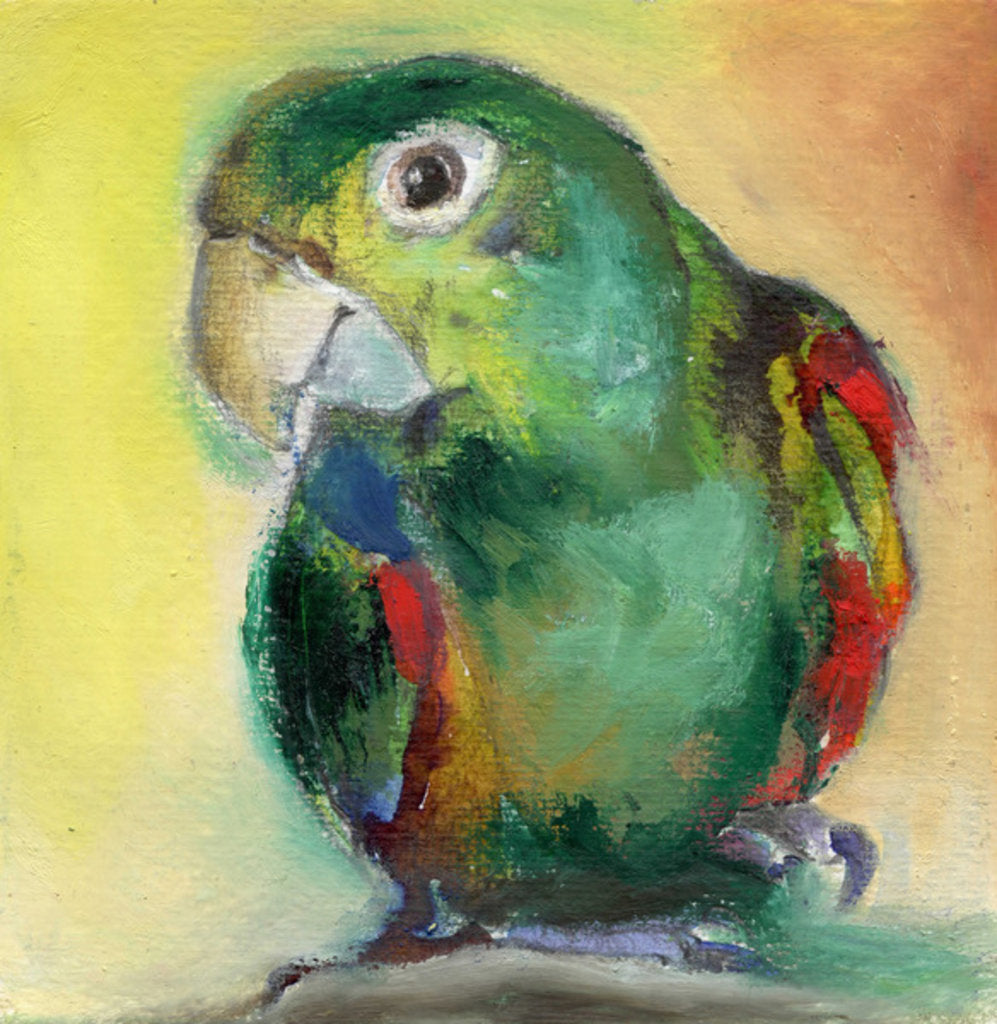 Detail of Her name is Mari, 2013 by Nancy Moniz Charalambous