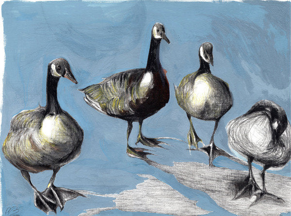 Detail of Friendly Canada Geese, 2018 by Nancy Moniz Charalambous